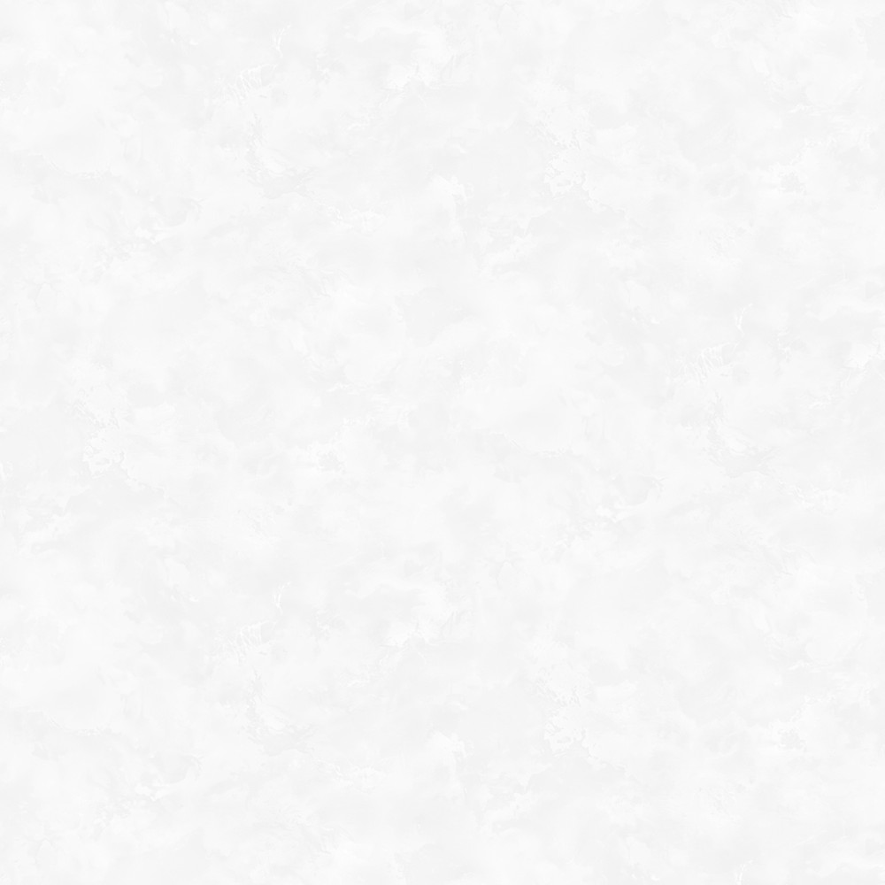 588221 Dolce (588211) обои вин. на флиз.основе г.т. 1,06*10 (VS exl) 6